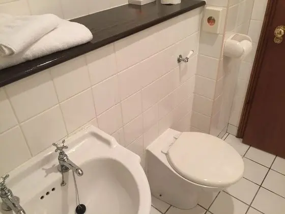 Superior Tek Büyük Yataklı Oda, Banyolu/Duşlu (Superior Double with Bath)