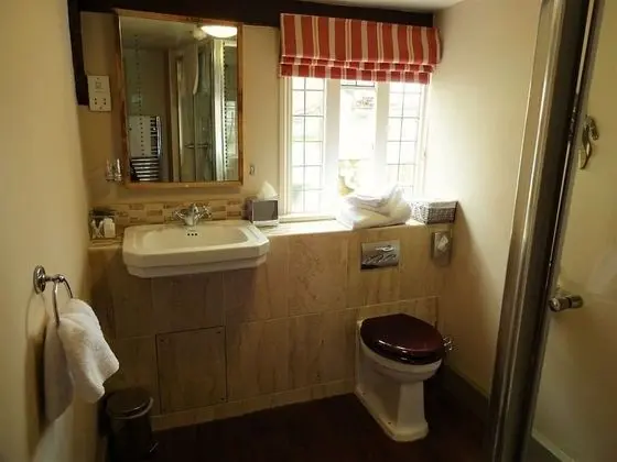 Tek Büyük Yataklı Oda, Banyolu/Duşlu (DBL)