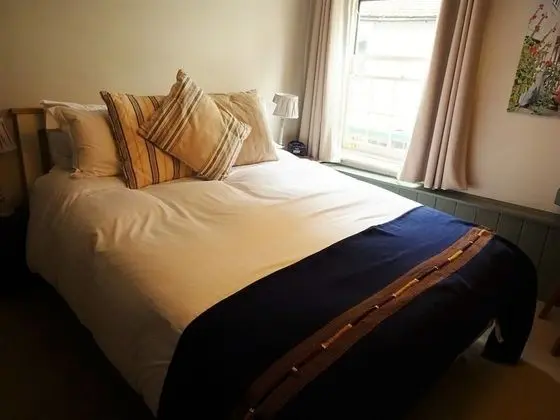 Tek Büyük Yataklı Oda, Banyolu/Duşlu (DBL)