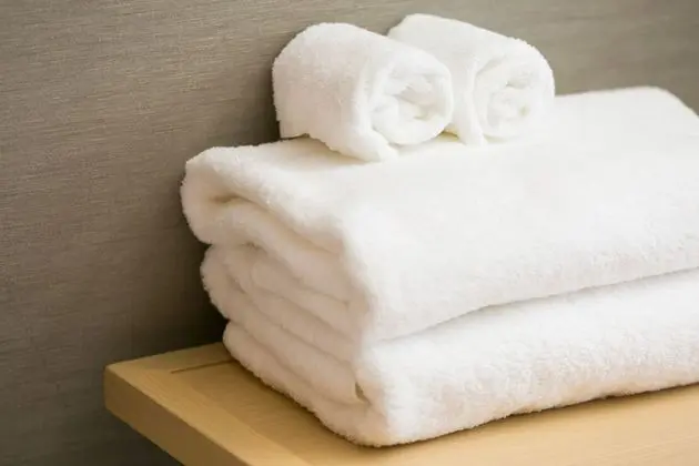 Deluxe İki Ayrı Yataklı Oda, Sigara İçilmez