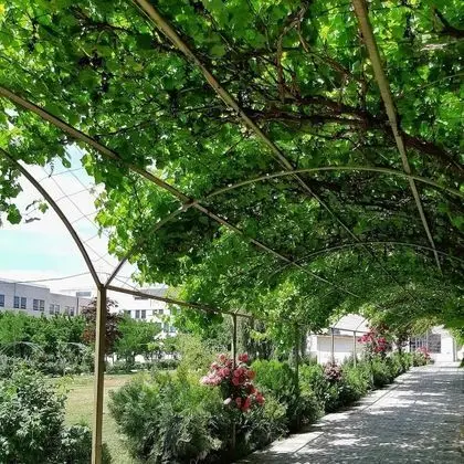 Kır Evi, Teras