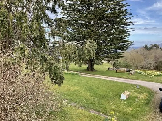 Üç Kişilik Oda (Kilbrannan)