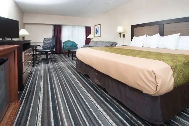 Standard Oda, 1 En Büyük (King) Boy Yatak