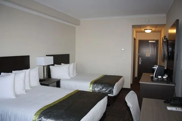 Oda, 2 Çift Kişilik Yatak (Not Pet Friendly)