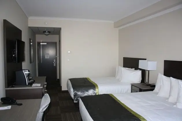 Oda, 2 Çift Kişilik Yatak (Pet Friendly)