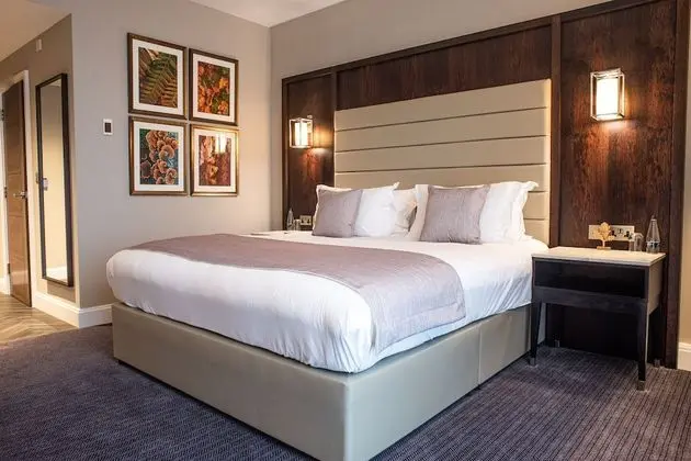 Luxury Tek Büyük Yataklı Oda