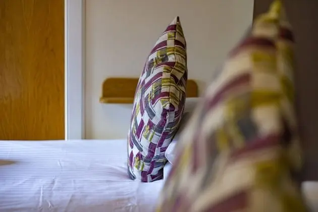 Standard Tek Büyük Yataklı Oda, Banyolu/Duşlu (Room 1)