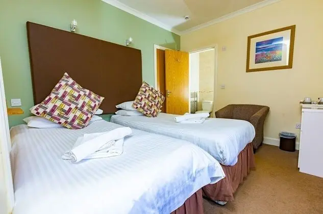 Standard Tek Büyük Yataklı Oda, Banyolu/Duşlu (Room 1)