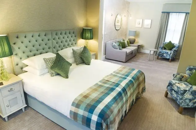 Executive Süit, 1 En Büyük (King) Boy Yatak (Green Lane Suite)