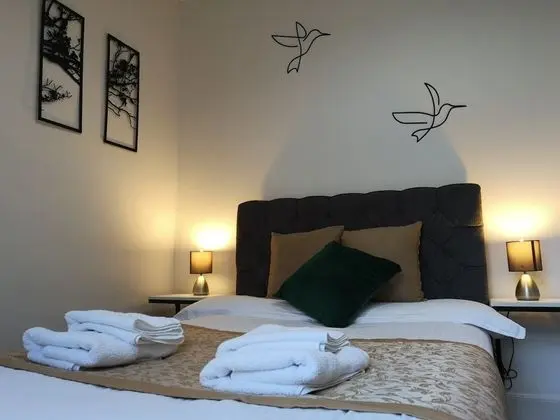 Deluxe Apart Daire, Özel Banyo (2 bed)