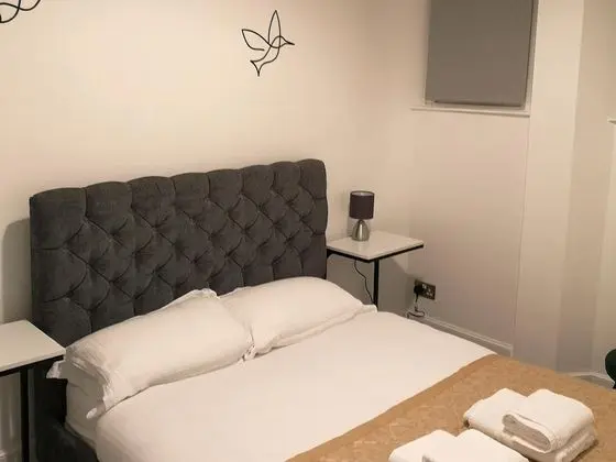 Deluxe Apart Daire, Özel Banyo (2 bed)
