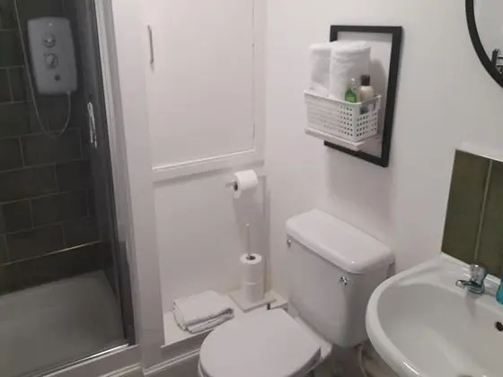 Deluxe Apart Daire, Özel Banyo (2 bed)