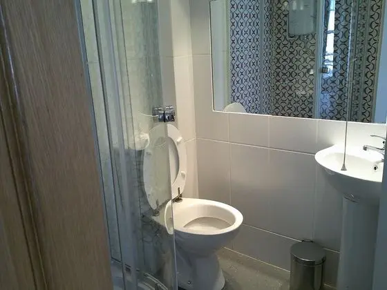 Standard Tek Büyük Yataklı Oda, 1 Çift Kişilik Yatak