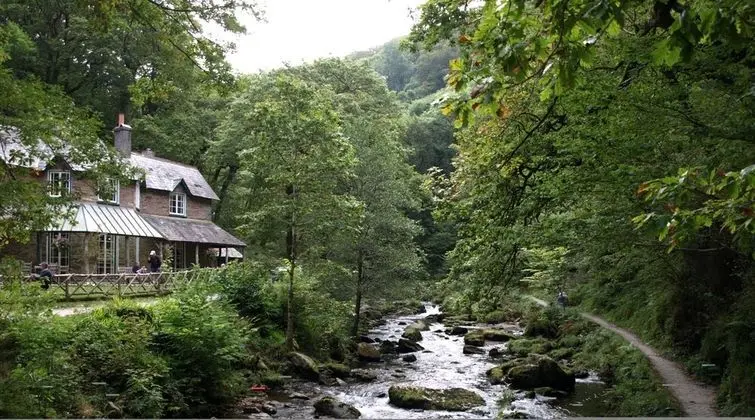 Kır Evi, Özel Banyo (Crown)
