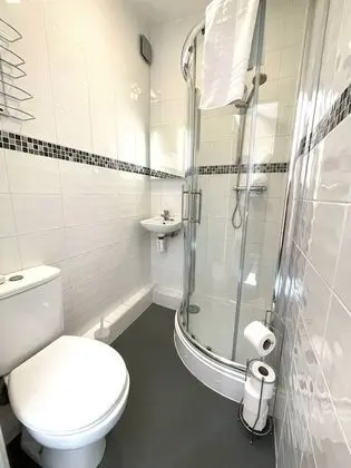 Tek Büyük Yataklı Oda, Banyolu/Duşlu (Room 01)