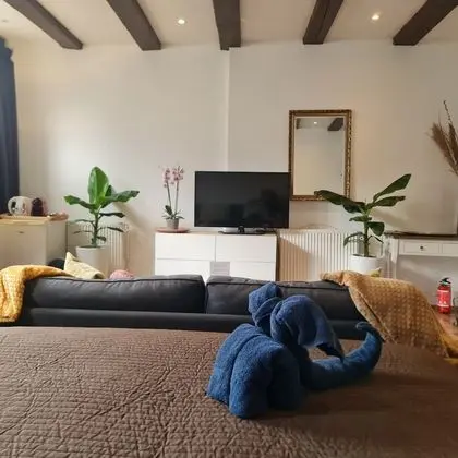 Deluxe Tek Büyük Yataklı Oda (3rd floor- stair access only)