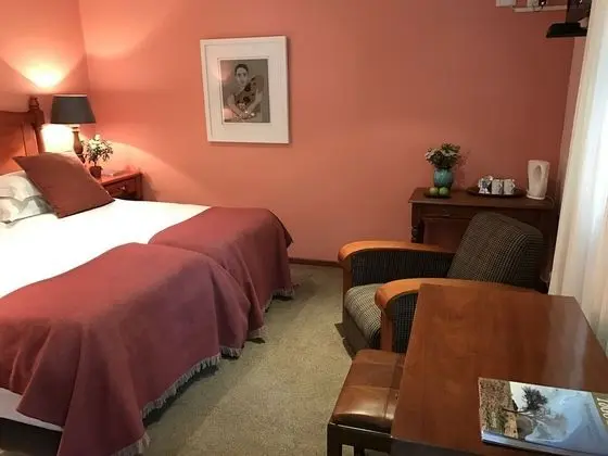 Standard Tek Büyük veya İki Ayrı Yataklı Oda (Luxury Suite)