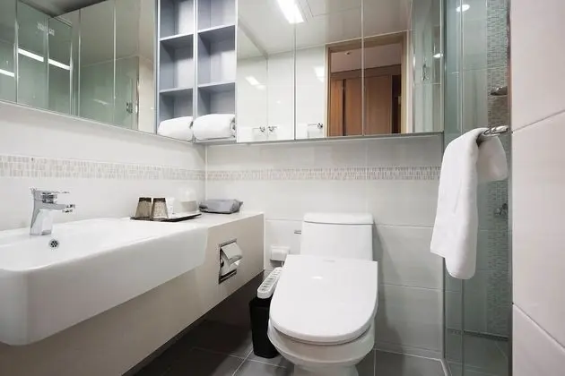 Deluxe Tek Büyük Yataklı Oda, Şehir Manzaralı
