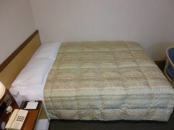 Standard Tek Büyük Yataklı Oda, 1 Çift Kişilik Yatak, Sigara İçilebilir