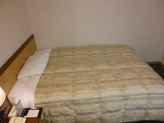 Standard Tek Büyük Yataklı Oda, 1 Çift Kişilik Yatak, Sigara İçilebilir