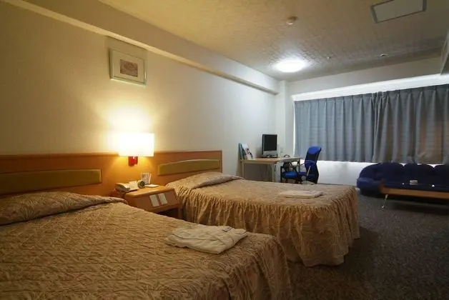 Deluxe İki Ayrı Yataklı Oda, Sigara İçilmez