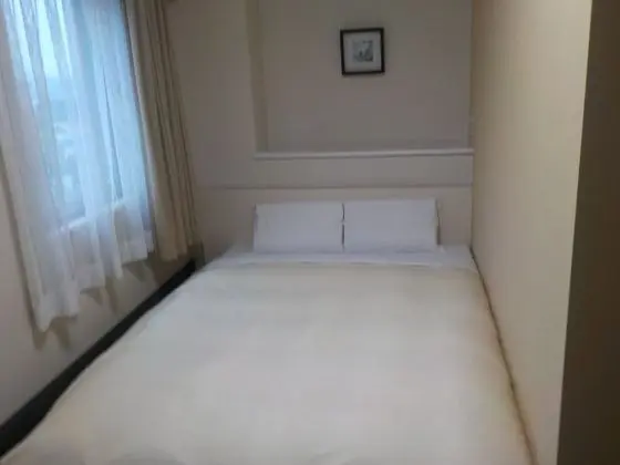 Deluxe Tek Büyük Yataklı Oda, Sigara İçilebilir