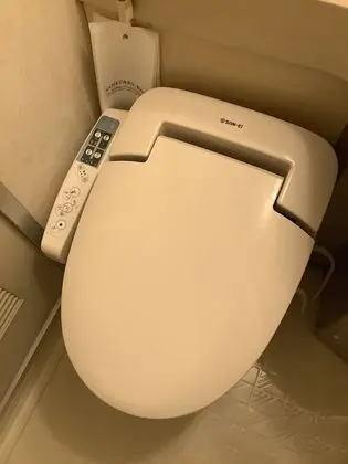 Deluxe Tek Büyük Yataklı Oda, Sigara İçilebilir
