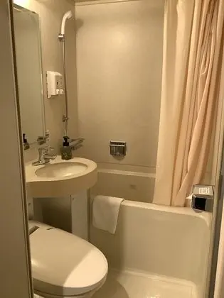 Deluxe Tek Büyük Yataklı Oda, Sigara İçilebilir