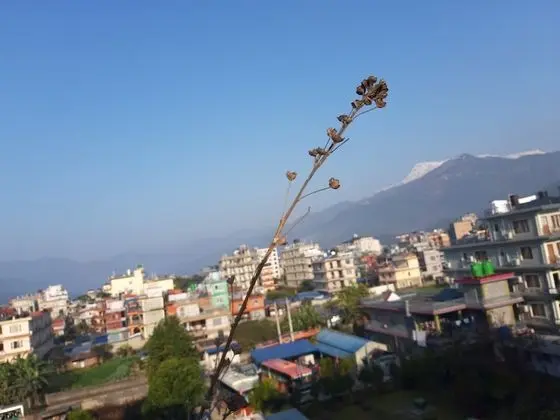 Deluxe Tek Büyük veya İki Ayrı Yataklı Oda, Dağ Manzaralı