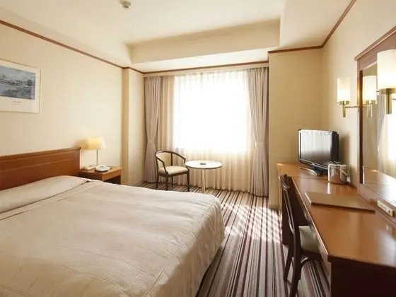 Tek Büyük Yataklı Oda, 1 Çift Kişilik Yatak