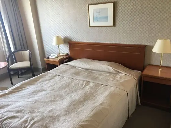 Tek Büyük Yataklı Oda, 1 Çift Kişilik Yatak