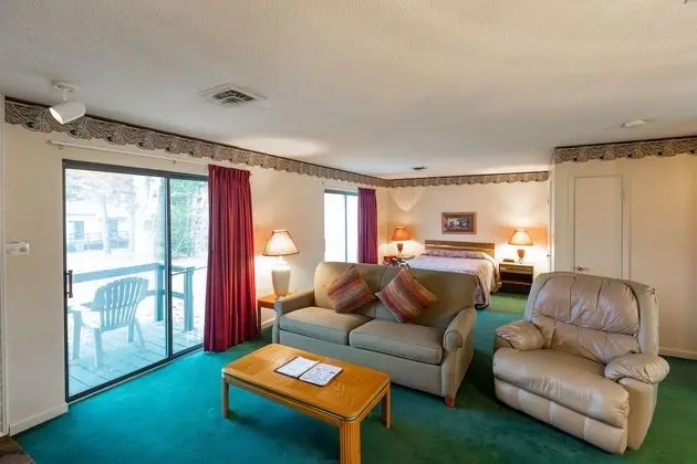 Basic Daire, 1 Yatak Odası