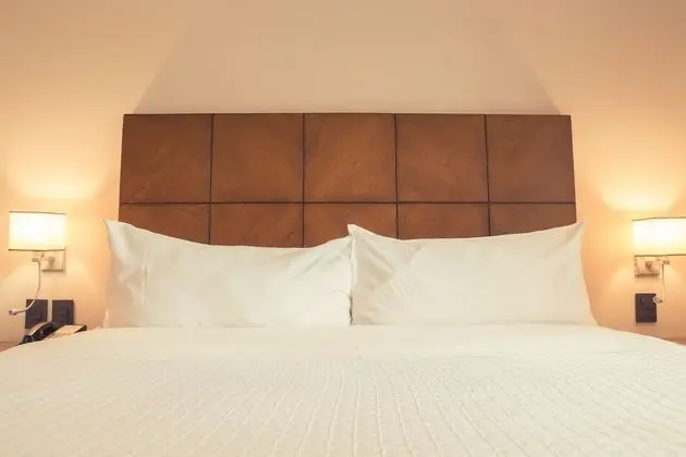 Presidential Süit, 1 En Büyük (King) Boy Yatak (Kitchen)