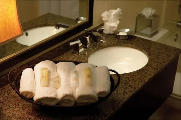 Deluxe Oda, 1 Çift Kişilik Yatak, Engellilere Uygun (Mobility Roll in Shower)