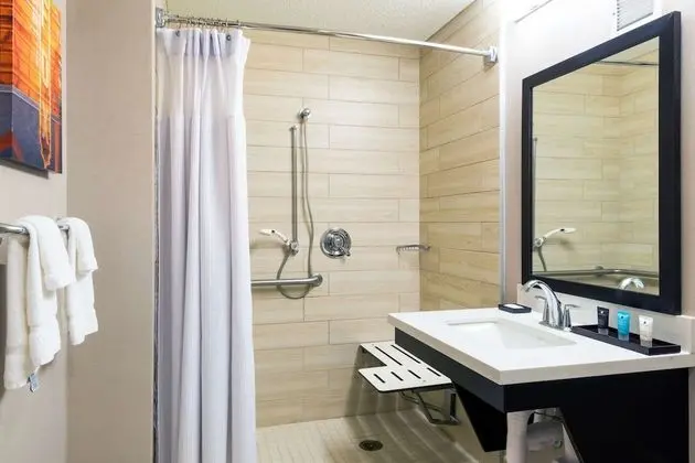 Deluxe Oda, 1 Çift Kişilik Yatak, Engellilere Uygun (Mobility Roll in Shower)