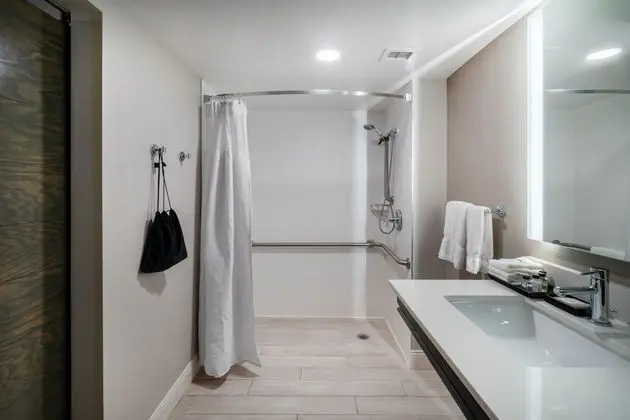 Standard Oda, 1 En Büyük (King) Boy Yatak, Engellilere Uygun (Mobility, Roll-In Shower)