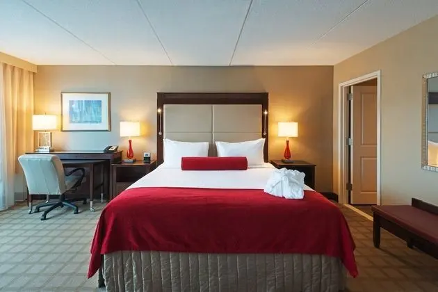 Premium Oda, 1 En Büyük (King) Boy Yatak ve Çekyat (High Floor)