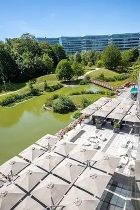 Standard Oda, 1 En Büyük (King) Boy Yatak, Park Manzaralı