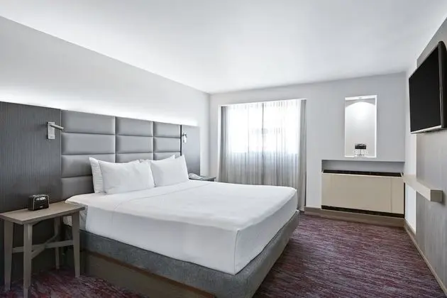 Standard Oda, 1 En Büyük (King) Boy Yatak (High Floor)