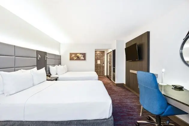 Standard Oda, 2 Çift Kişilik Yatak (Club Floor Lounge Access)