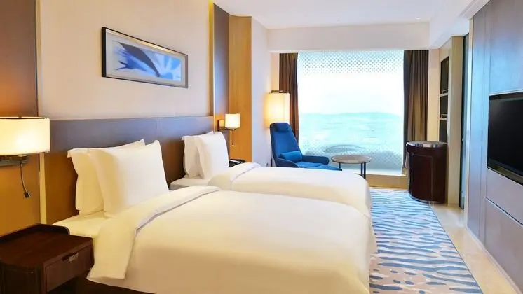 Standard Oda, 2 Tek Kişilik Yatak (Lounge Access)