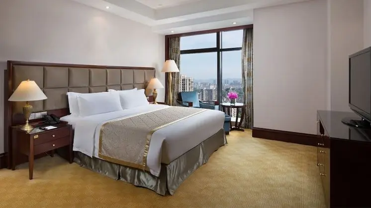 Premium Oda, 1 En Büyük (King) Boy Yatak (Lounge Access)