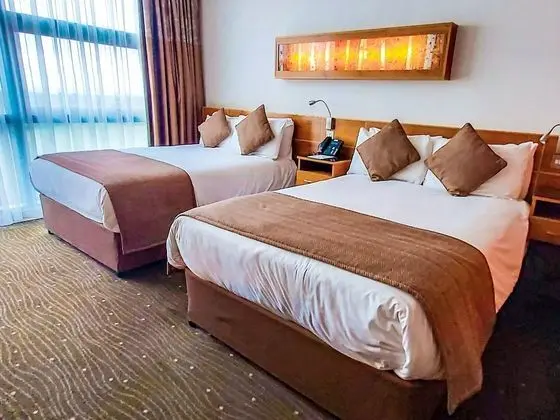 Premium Oda, 2 Tek Kişilik Yatak (Lounge Access)