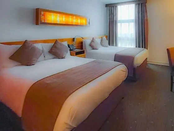 Premium Oda, 2 Tek Kişilik Yatak (Lounge Access)