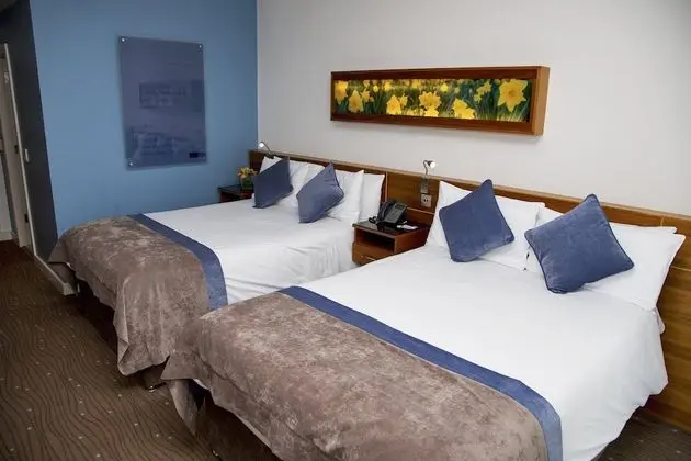 Premium Oda, 2 Tek Kişilik Yatak (Lounge Access)