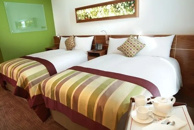 Premium Oda, 2 Tek Kişilik Yatak (Lounge Access)