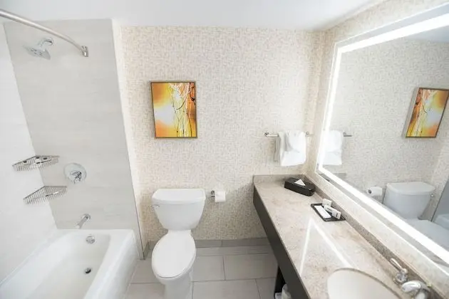 Standard Oda, 2 Büyük (Queen) Boy Yatak, Engellilere Uygun (Mobility, Access Tub)