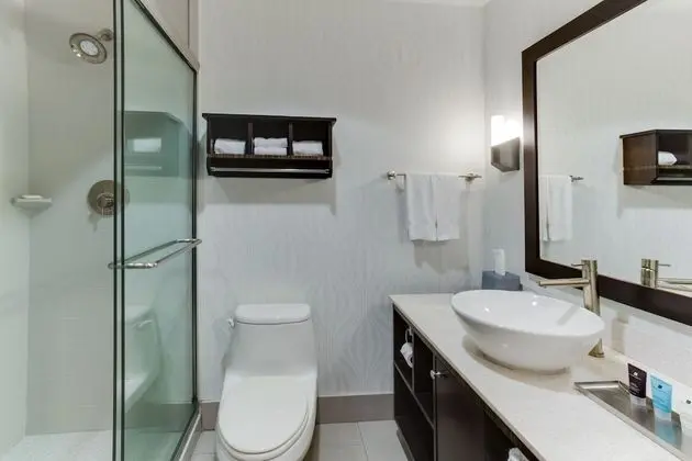 Standard Oda, 2 Büyük (Queen) Boy Yatak, Engellilere Uygun (Mobility, Accessible Tub)