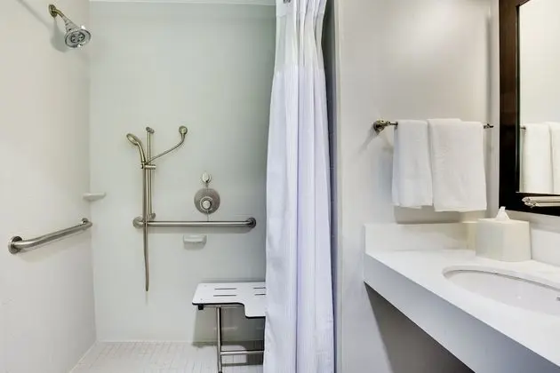 Standard Oda, 2 Büyük (Queen) Boy Yatak, Engellilere Uygun (Mobility, Roll-In Shower)