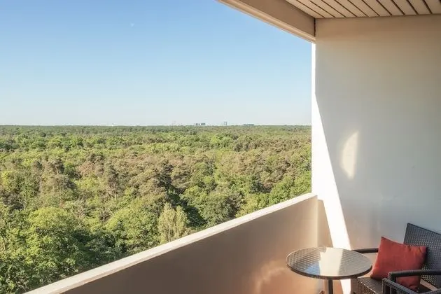 Süit, 1 Yatak Odası, Balkon